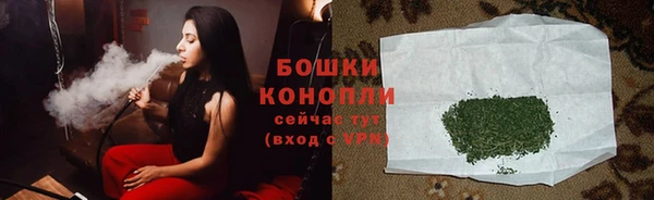 ГАЛЛЮЦИНОГЕННЫЕ ГРИБЫ Осташков