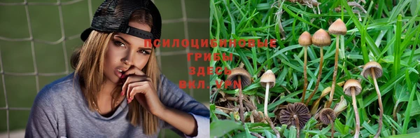 ALPHA PVP Переславль-Залесский
