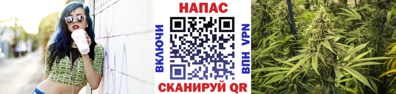 МАРИХУАНА конопля Новокубанск